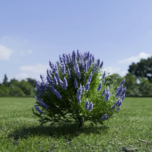 Shurb Spirea Care Blue Mist Animated