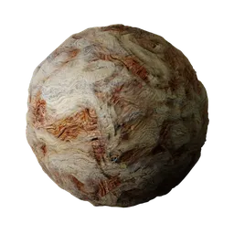 Wood Rotten