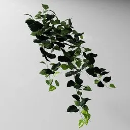 "Artificial tendril Basil green v2 - a nature-inspired 3D model for BlenderKit users, featuring flowering vines, fig leaves, and linden trees. Created with redshift rending and volumetry scattering techniques, this model also includes editable parts in edit mode and uses geometry nodes from the Bagapia addon."
