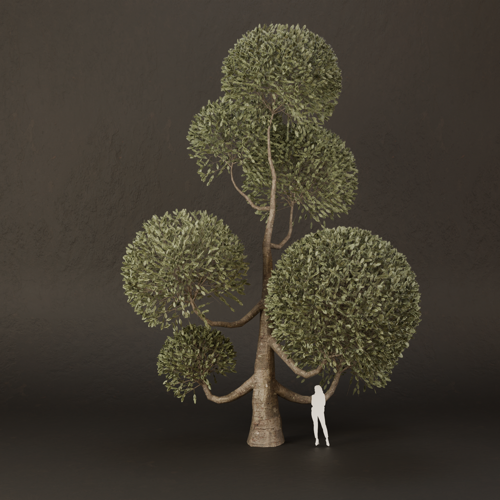 BlenderKit | Download the SJ-Ornamental Tree Arch Touch model