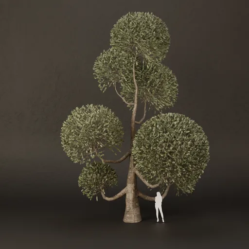 SJ-Ornamental Tree Arch Touch