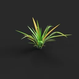 High-quality 3D Iris Swamp plant model with realistic textures, perfect for Blender rendering and outdoor scenes.