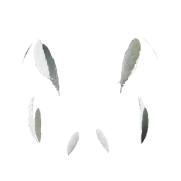 Feather