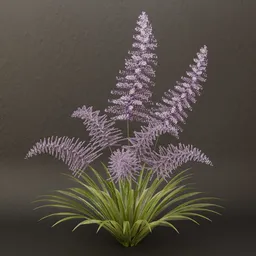 SJ-purple blossom bush