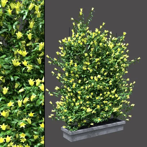 Blooming Vine Planter