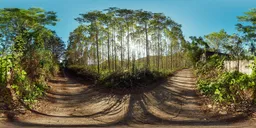 Country lanes at sunset 17k