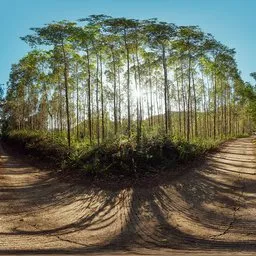Country lanes at sunset 17k