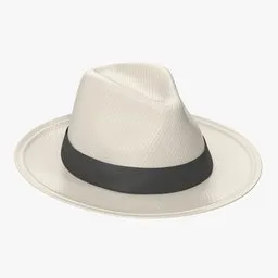 Panama Hat
