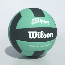 Volleyball Ball Wilson