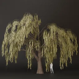 SJ-Twilight Willow Song