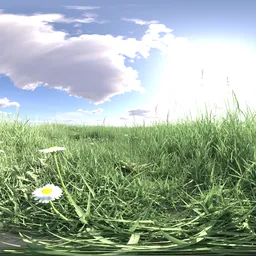 Morning grass green cloud 16k