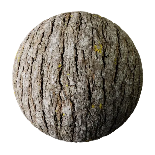 Tree Bark