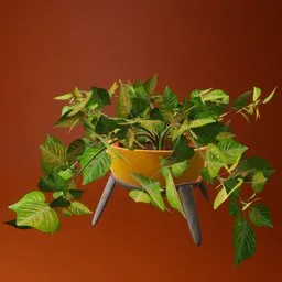 High-quality textured 3D golden pothos plant model for Blender, perfect for interior garden scenes.