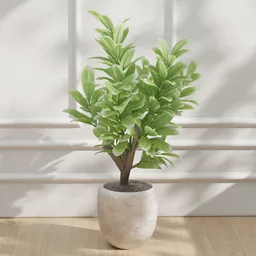 Green Plant