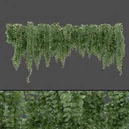 Leafy Hanging Cluster