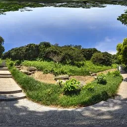 Mountainside during the day
