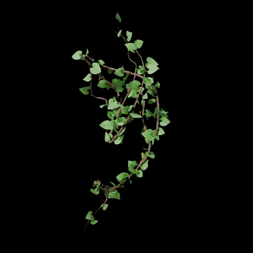 Climbing Vine - Leaf 05