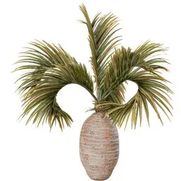 Highly detailed Blender 3D model of a tropical palm tree in centimeter scale with realistic textures and cycles render.