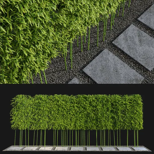 Bamboo Privacy Screen with Stone Path