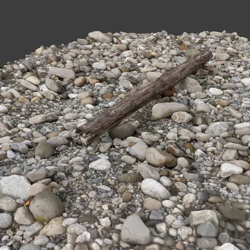 River Rocks and Wood Photoscan