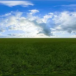 Green grass cloudy blue sky pure sky