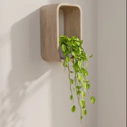 Neon Pothos Haven