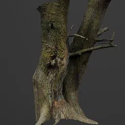 High-resolution textured 3D tree trunk model with detailed bark and branches, perfect for Blender rendering and visualizations.