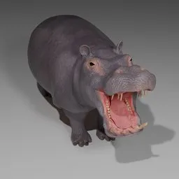 Hippopotamus