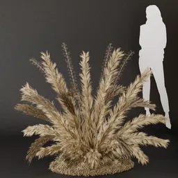 SJ- Pampas Modern Touch Bush