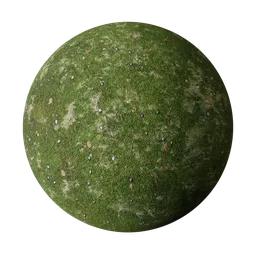 Meadow soil