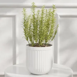 Vertical Herb Plant Pot