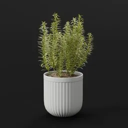 Vertical Herb Plant Pot