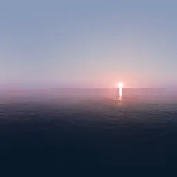 Golden Rose Sunset