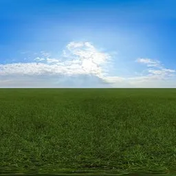 Green grass cloudy blue sky pure sky
