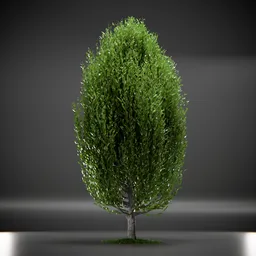 Tree Columnar European Animated
