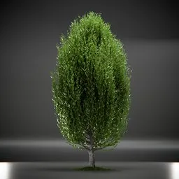 Tree Columnar European Animated