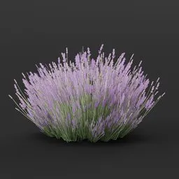Highly detailed 3D lavender model, ideal for Blender, suitable for game assets and realistic 3D environment simulations.