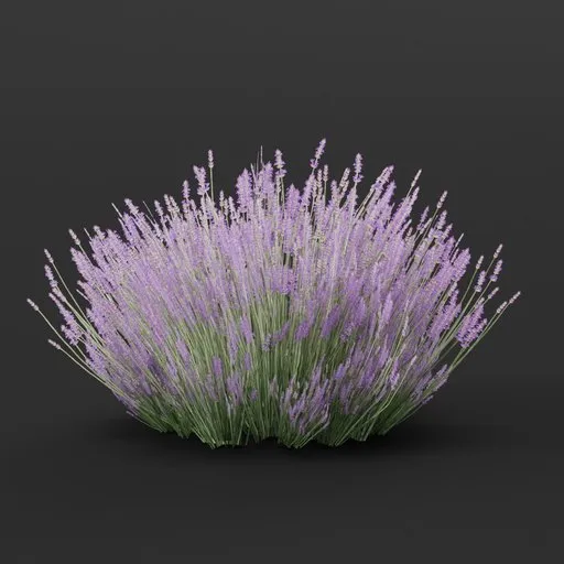 Highly detailed 3D lavender model, ideal for Blender, suitable for game assets and realistic 3D environment simulations.