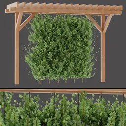 Pergola Green Wall