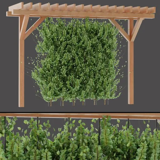 Pergola Green Wall