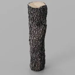 Oak Log remeshed photoscan