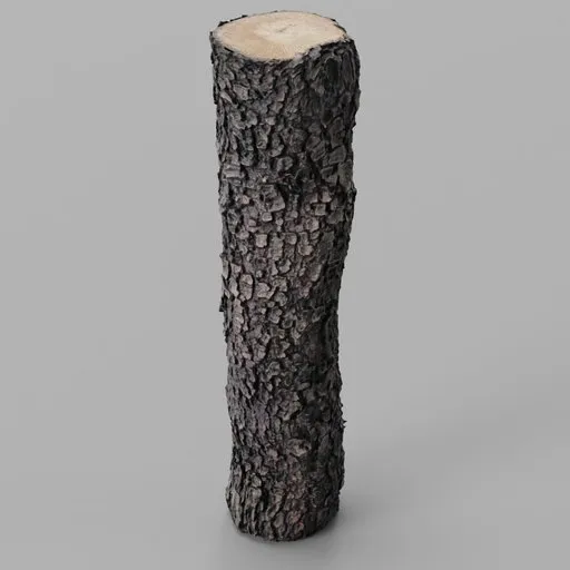 Oak Log remeshed photoscan