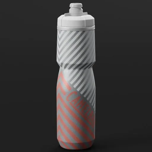 CamelBak Water Bottle