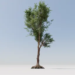 Highly detailed 3D model of a leafy tree with short roots suitable for Blender rendering and virtual environments.