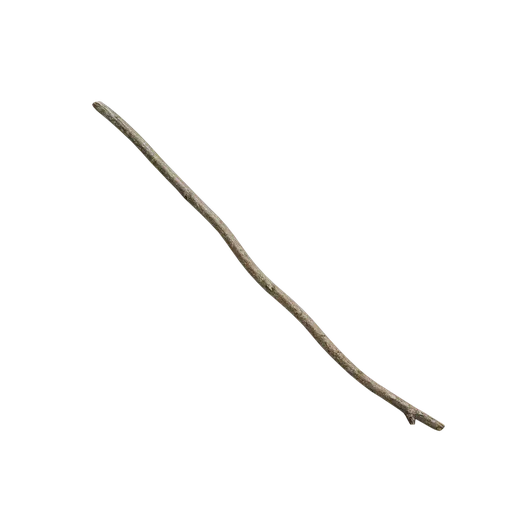 Debris and twigs
