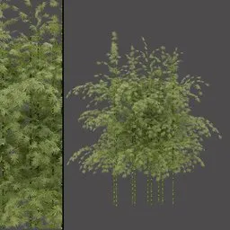 Realistic Bamboo Bush