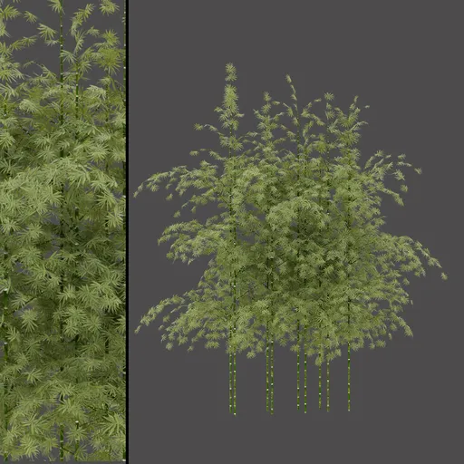Realistic Bamboo Bush