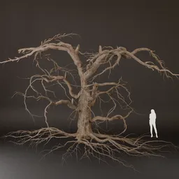 SJ Branch-Heavy Dead Tree Model