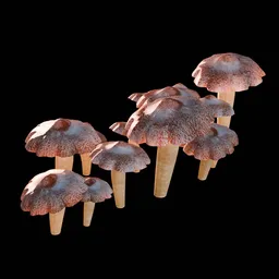 Mushrooms