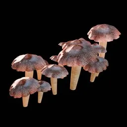 Mushrooms